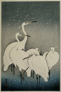 Haikararyhmä, 1925-36